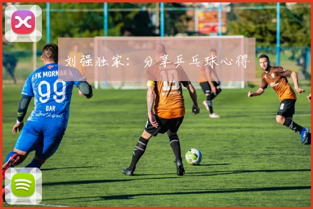 刘强独家：分享乒乓球心得