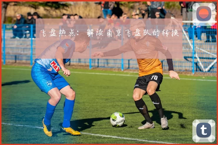 飞盘热点：解读南京飞盘队的转换