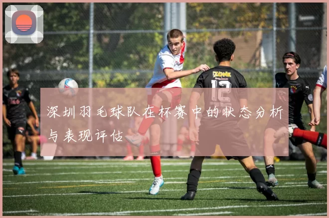 深圳羽毛球队在杯赛中的状态分析与表现评估