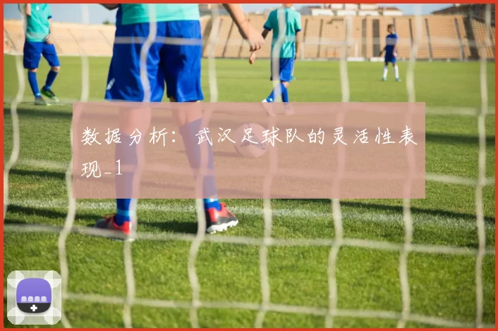 数据分析：武汉足球队的灵活性表现_1