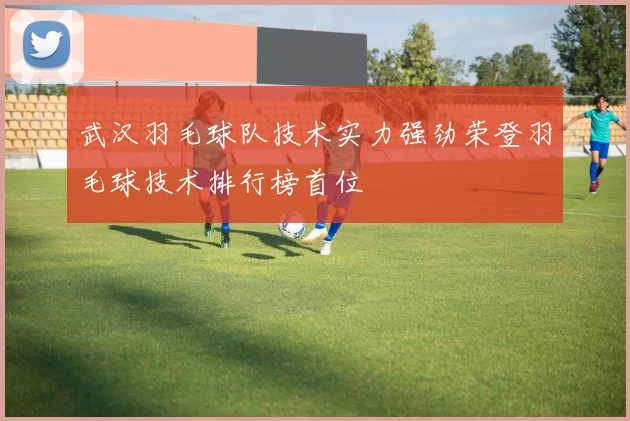 武汉羽毛球队技术实力强劲荣登羽毛球技术排行榜首位