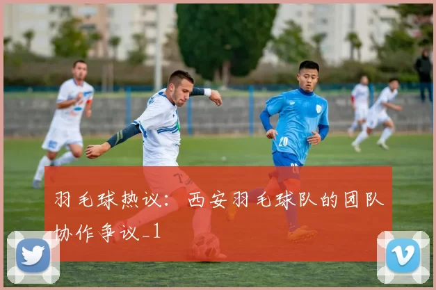 羽毛球热议：西安羽毛球队的团队协作争议_1